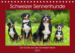 Schweizer Sennenhunde – die Hunde aus den Schweizer Alpen (Tischkalender 2021 DIN A5 quer) von Starick,  Sigrid