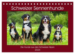 Schweizer Sennenhunde – die Hunde aus den Schweizer Alpen (Tischkalender 2024 DIN A5 quer), CALVENDO Monatskalender von Starick,  Sigrid