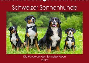 Schweizer Sennenhunde – die Hunde aus den Schweizer Alpen (Wandkalender 2019 DIN A2 quer) von Starick,  Sigrid