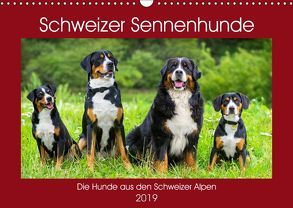 Schweizer Sennenhunde – die Hunde aus den Schweizer Alpen (Wandkalender 2019 DIN A3 quer) von Starick,  Sigrid