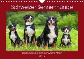 Schweizer Sennenhunde – die Hunde aus den Schweizer Alpen (Wandkalender 2019 DIN A4 quer) von Starick,  Sigrid