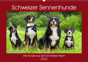 Schweizer Sennenhunde – die Hunde aus den Schweizer Alpen (Wandkalender 2020 DIN A2 quer) von Starick,  Sigrid
