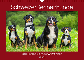 Schweizer Sennenhunde – die Hunde aus den Schweizer Alpen (Wandkalender 2020 DIN A3 quer) von Starick,  Sigrid
