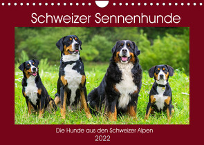 Schweizer Sennenhunde – die Hunde aus den Schweizer Alpen (Wandkalender 2022 DIN A4 quer) von Starick,  Sigrid