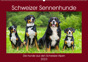 Schweizer Sennenhunde – die Hunde aus den Schweizer Alpen (Wandkalender 2023 DIN A2 quer) von Starick,  Sigrid