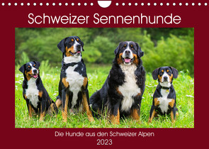 Schweizer Sennenhunde – die Hunde aus den Schweizer Alpen (Wandkalender 2023 DIN A4 quer) von Starick,  Sigrid