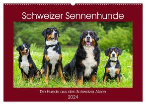 Schweizer Sennenhunde – die Hunde aus den Schweizer Alpen (Wandkalender 2024 DIN A2 quer), CALVENDO Monatskalender von Starick,  Sigrid