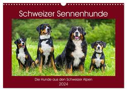Schweizer Sennenhunde – die Hunde aus den Schweizer Alpen (Wandkalender 2024 DIN A3 quer), CALVENDO Monatskalender von Starick,  Sigrid