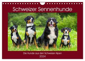 Schweizer Sennenhunde – die Hunde aus den Schweizer Alpen (Wandkalender 2024 DIN A4 quer), CALVENDO Monatskalender von Starick,  Sigrid