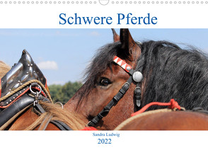 Schwere Pferde 2022 (Wandkalender 2022 DIN A3 quer) von Ludwig,  Sandra