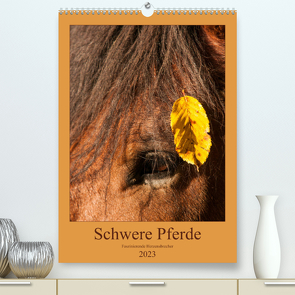 Schwere Pferde – Faszinierende Herzensbrecher (Premium, hochwertiger DIN A2 Wandkalender 2023, Kunstdruck in Hochglanz) von Bölts,  Meike