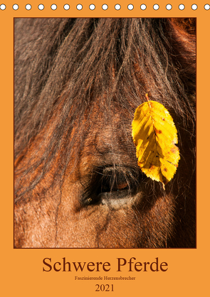 Schwere Pferde – Faszinierende Herzensbrecher (Tischkalender 2021 DIN A5 hoch) von Bölts,  Meike