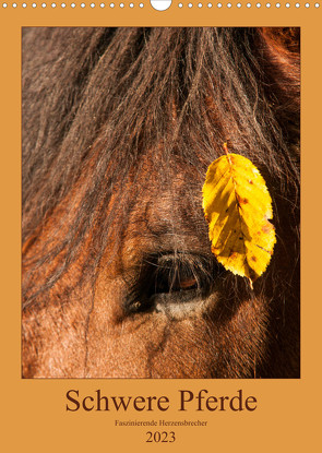 Schwere Pferde – Faszinierende Herzensbrecher (Wandkalender 2023 DIN A3 hoch) von Bölts,  Meike