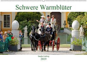 Schwere Warmblüter 2019 (Wandkalender 2019 DIN A2 quer) von Ludwig,  Sandra