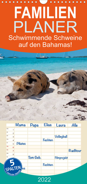 Familienplaner Schwimmende Schweine auf den Bahamas! (Wandkalender 2022 , 21 cm x 45 cm, hoch) von Stanzer,  Elisabeth