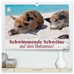 Schwimmende Schweine auf den Bahamas! (hochwertiger Premium Wandkalender 2024 DIN A2 quer), Kunstdruck in Hochglanz von Stanzer,  Elisabeth