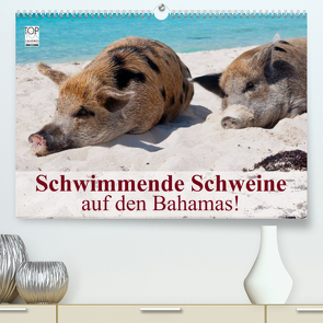 Schwimmende Schweine auf den Bahamas! (Premium, hochwertiger DIN A2 Wandkalender 2023, Kunstdruck in Hochglanz) von Stanzer,  Elisabeth