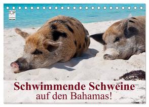 Schwimmende Schweine auf den Bahamas! (Tischkalender 2024 DIN A5 quer), CALVENDO Monatskalender von Stanzer,  Elisabeth