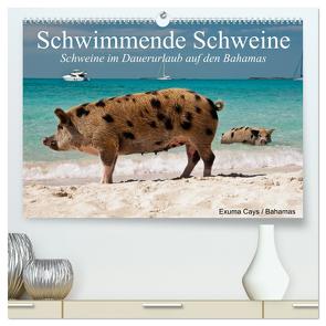 Schwimmende Schweine (hochwertiger Premium Wandkalender 2024 DIN A2 quer), Kunstdruck in Hochglanz von Stanzer,  Elisabeth