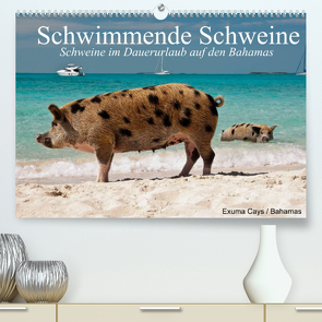 Schwimmende Schweine (Premium, hochwertiger DIN A2 Wandkalender 2022, Kunstdruck in Hochglanz) von Stanzer,  Elisabeth