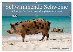 Schwimmende Schweine (Wandkalender 2024 DIN A2 quer), CALVENDO Monatskalender von Stanzer,  Elisabeth