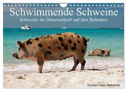 Schwimmende Schweine (Wandkalender 2024 DIN A4 quer), CALVENDO Monatskalender von Stanzer,  Elisabeth