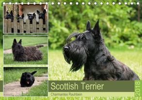 Scottish Terrier – Charmantes Rauhbein (Tischkalender 2018 DIN A5 quer) von Bodsch,  Birgit