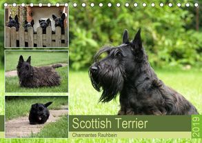 Scottish Terrier – Charmantes Rauhbein (Tischkalender 2019 DIN A5 quer) von Bodsch,  Birgit