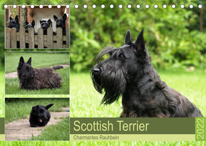 Scottish Terrier – Charmantes Rauhbein (Tischkalender 2022 DIN A5 quer) von Bodsch,  Birgit