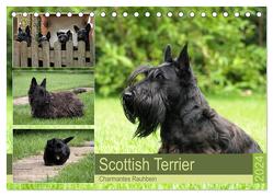 Scottish Terrier – Charmantes Rauhbein (Tischkalender 2024 DIN A5 quer), CALVENDO Monatskalender von Bodsch,  Birgit