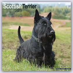 Scottish Terrier – Scottish Terrier 2023 – 16-Monatskalender