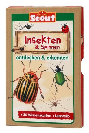 Scout Lernkarten-Box – Insekten & Spinnen