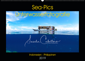 Sea-Pics Unterwasserfotografie (Wandkalender 2019 DIN A2 quer) von Caballero,  Sascha