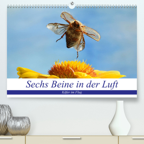 Sechs Beine in der Luft – Käfer im Flug (Premium, hochwertiger DIN A2 Wandkalender 2023, Kunstdruck in Hochglanz) von Skonieczny,  André