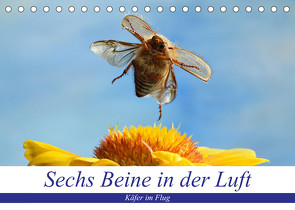 Sechs Beine in der Luft – Käfer im Flug (Tischkalender 2023 DIN A5 quer) von Skonieczny,  André