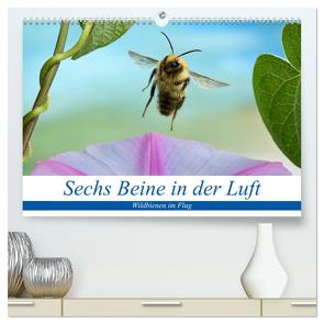 Sechs Beine in der Luft – Wildbienen im Flug (hochwertiger Premium Wandkalender 2024 DIN A2 quer), Kunstdruck in Hochglanz von Skonieczny,  André