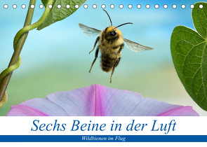 Sechs Beine in der Luft – Wildbienen im Flug (Tischkalender 2023 DIN A5 quer) von Skonieczny,  André