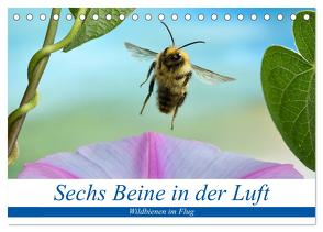 Sechs Beine in der Luft – Wildbienen im Flug (Tischkalender 2024 DIN A5 quer), CALVENDO Monatskalender von Skonieczny,  André
