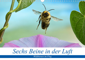 Sechs Beine in der Luft – Wildbienen im Flug (Wandkalender 2023 DIN A3 quer) von Skonieczny,  André