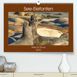 See-Elefanten (Premium, hochwertiger DIN A2 Wandkalender 2020, Kunstdruck in Hochglanz) von Smith,  Sidney