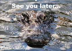 See you later … Florida Wildlife (Wandkalender 2023 DIN A2 quer) von Bade,  Uwe
