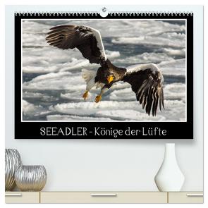 Seeadler – Könige der Lüfte (hochwertiger Premium Wandkalender 2024 DIN A2 quer), Kunstdruck in Hochglanz von Schwarz Fotografie,  Thomas
