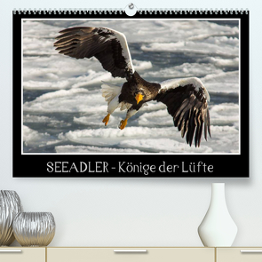 Seeadler – Könige der Lüfte (Premium, hochwertiger DIN A2 Wandkalender 2023, Kunstdruck in Hochglanz) von Schwarz Fotografie,  Thomas