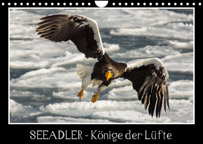 Seeadler – Könige der Lüfte (Wandkalender 2023 DIN A4 quer) von Schwarz Fotografie,  Thomas