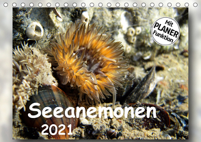 Seeanemonen (Tischkalender 2021 DIN A5 quer) von Heizmann,  Thomas