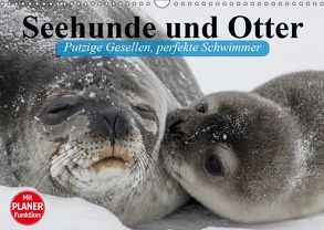 Seehunde und Otter. Putzige Gesellen, perfekte Schwimmer (Wandkalender 2019 DIN A3 quer) von Stanzer,  Elisabeth