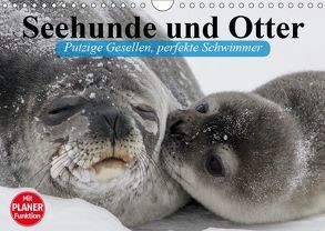 Seehunde und Otter. Putzige Gesellen, perfekte Schwimmer (Wandkalender 2019 DIN A4 quer) von Stanzer,  Elisabeth