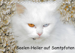Seelen-Heiler auf Samtpfoten (Tischkalender 2023 DIN A5 quer) von Spengler,  Manfred