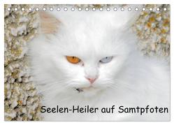 Seelen-Heiler auf Samtpfoten (Tischkalender 2024 DIN A5 quer), CALVENDO Monatskalender von Spengler,  Manfred