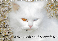 Seelen-Heiler auf Samtpfoten (Wandkalender 2023 DIN A3 quer) von Spengler,  Manfred